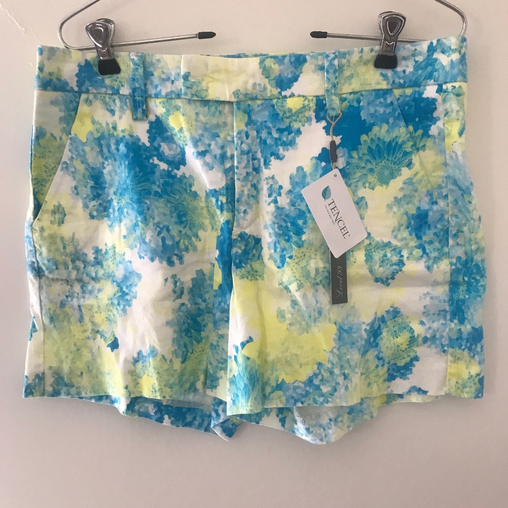Level 99 Shorts